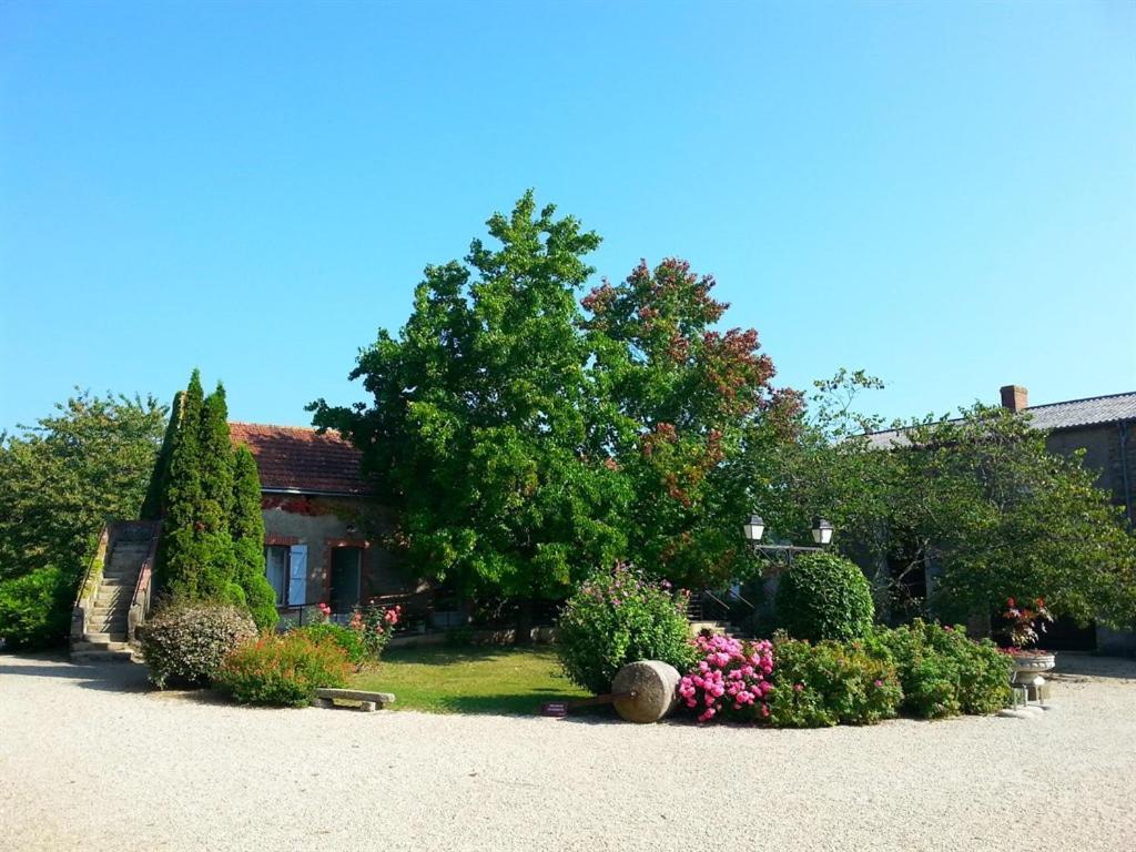 Chateau De La Galissonniere Bed and Breakfast Le Pallet Buitenkant foto